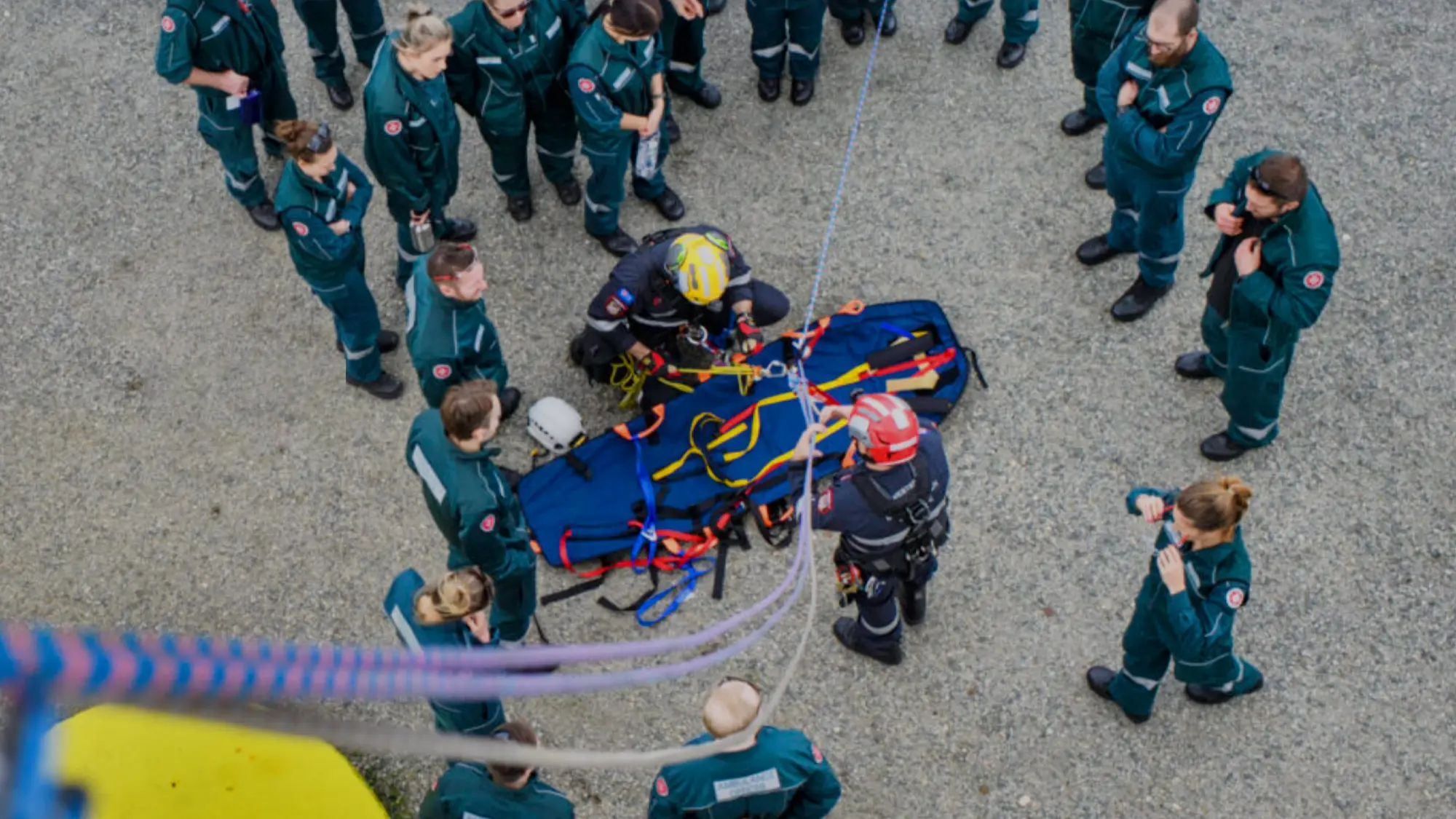 AEAWA Website and Database Management System, AEAWA 10 Banner