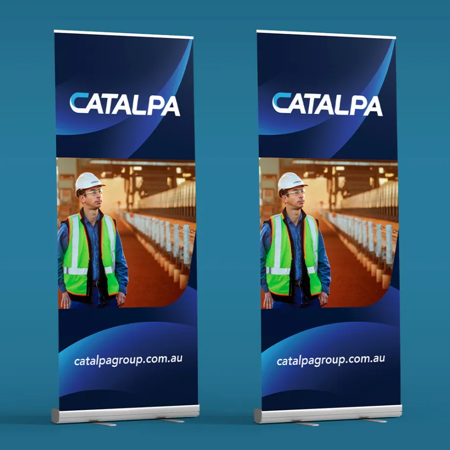 Catalpa Rebrand, CAT 11 Image