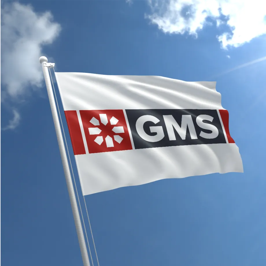GMS Rebrand, GMS 12 Image